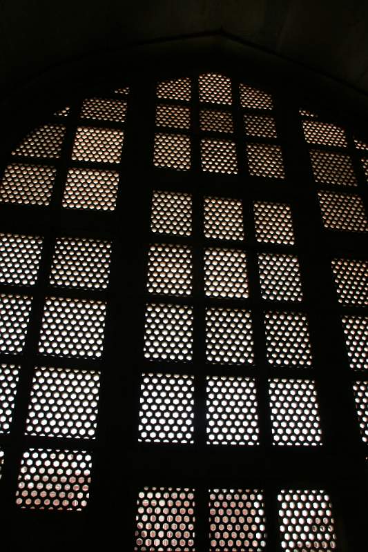 India & Nepal 2011 - 1194